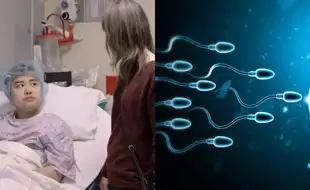 Young Man Receives World’s First Sperm Transplant In Groundbreaking Experiment to Reverse Infertility