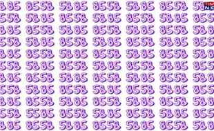 Optical Illusion Test: Only The Ones With 6/6 Vision Can Spot The Odd Pair 55