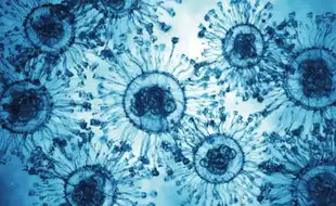 Rapid Rise of Deadly Flesh-Eating Infection Sparks Worries in the US; How Does It Spread?